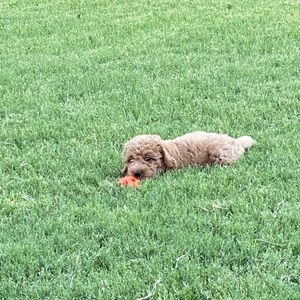 Meet your Posher, Jay